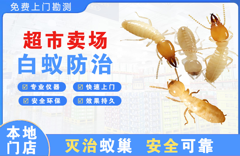 衡阳超市卖场白蚁防治