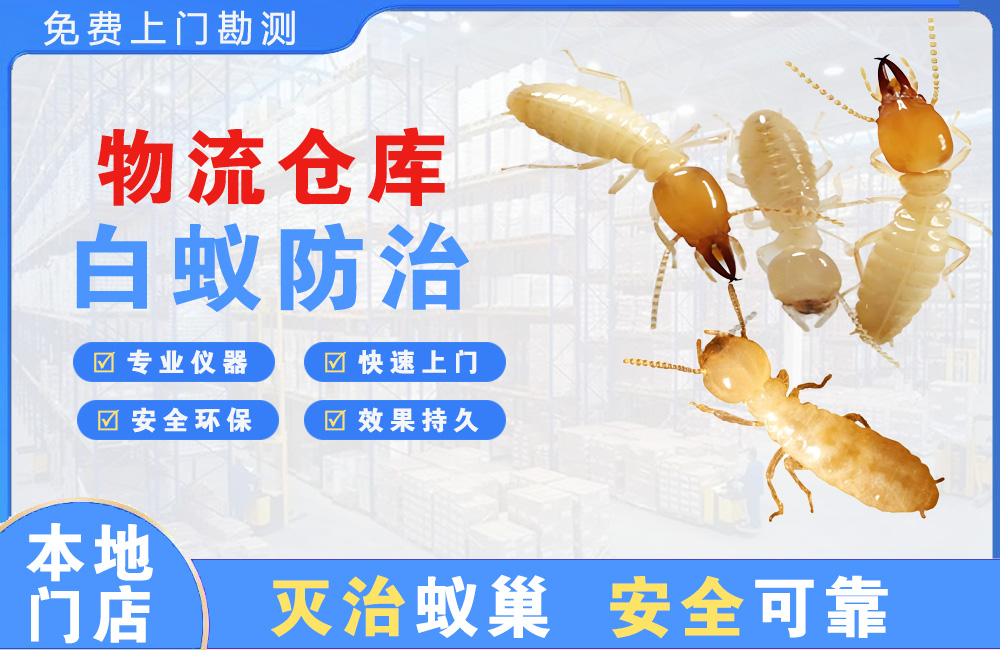 衡阳物流仓库白蚁防治