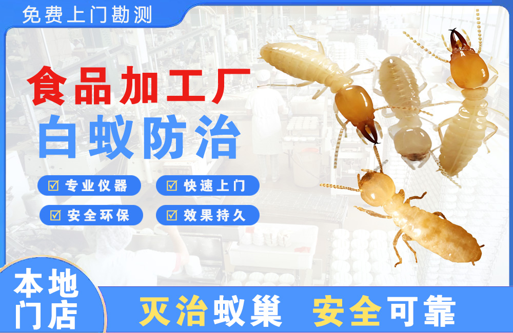 衡阳食品加工厂白蚁防治