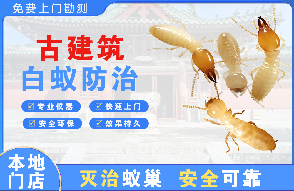 衡阳古建筑白蚁防治