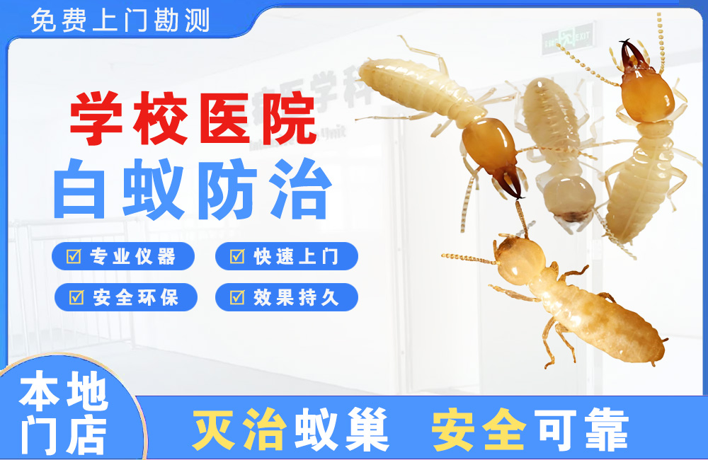 衡阳学校医院白蚁防治