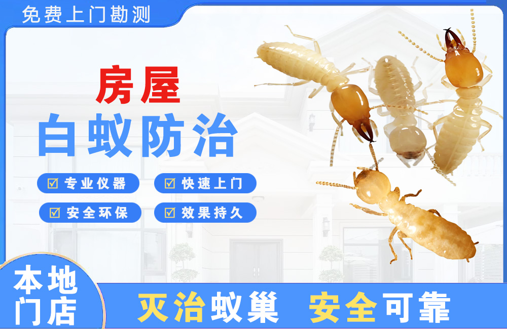 衡阳房屋白蚁防治
