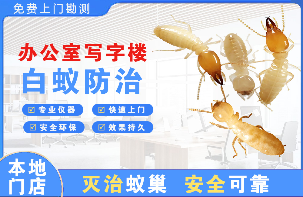 衡阳办公室写字楼白蚁防治