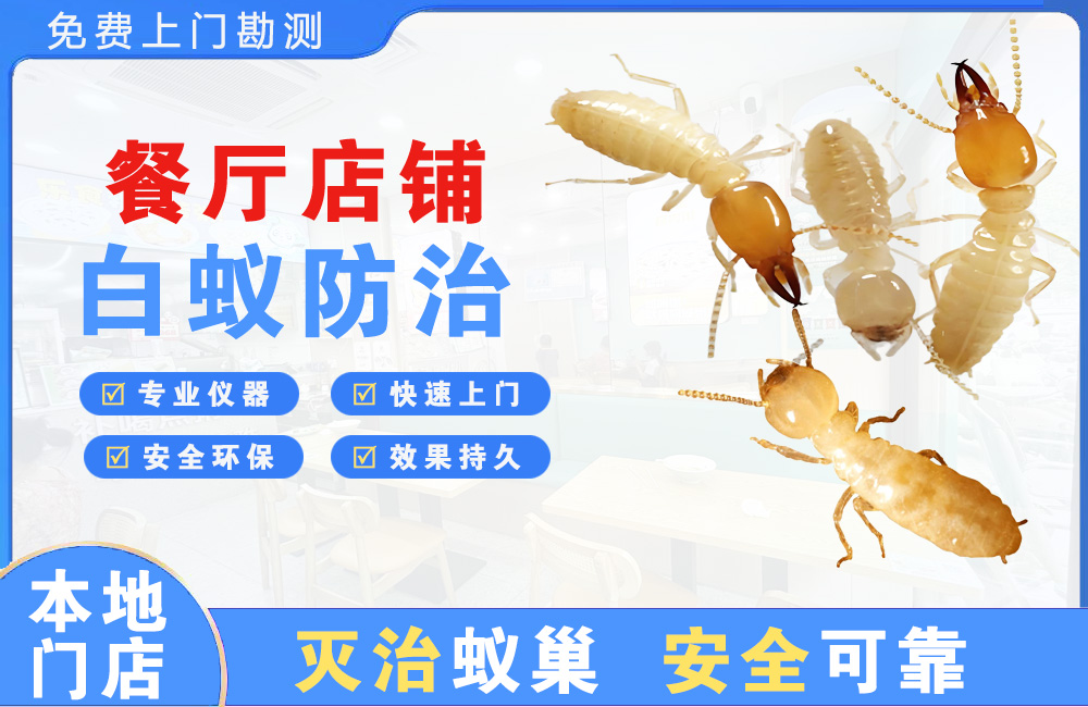 衡阳餐厅店铺白蚁防治
